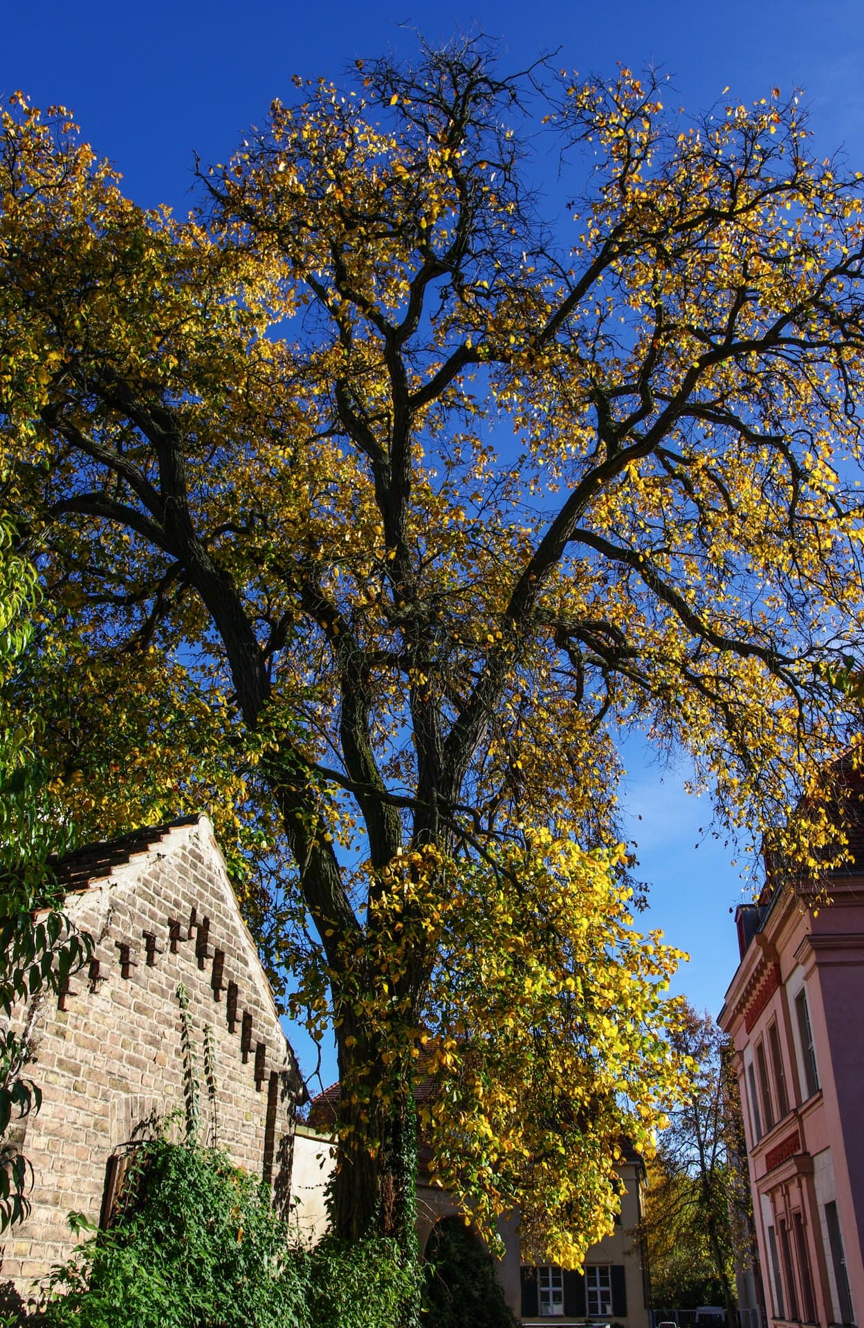 From first conversation to closing day